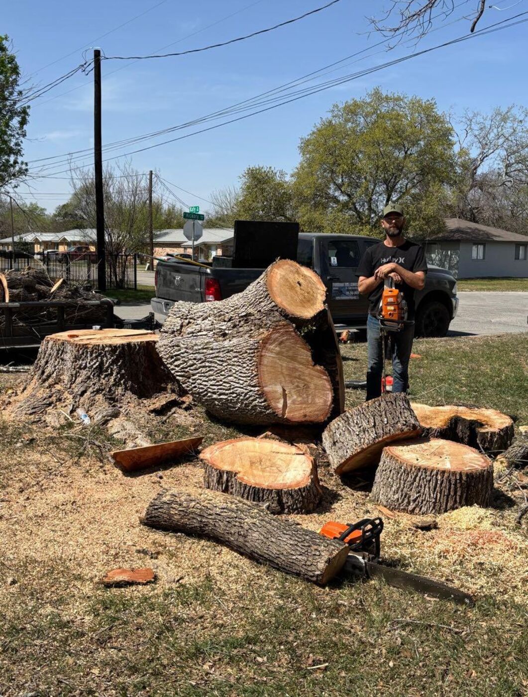 Cut log rounds staged for haul-off
