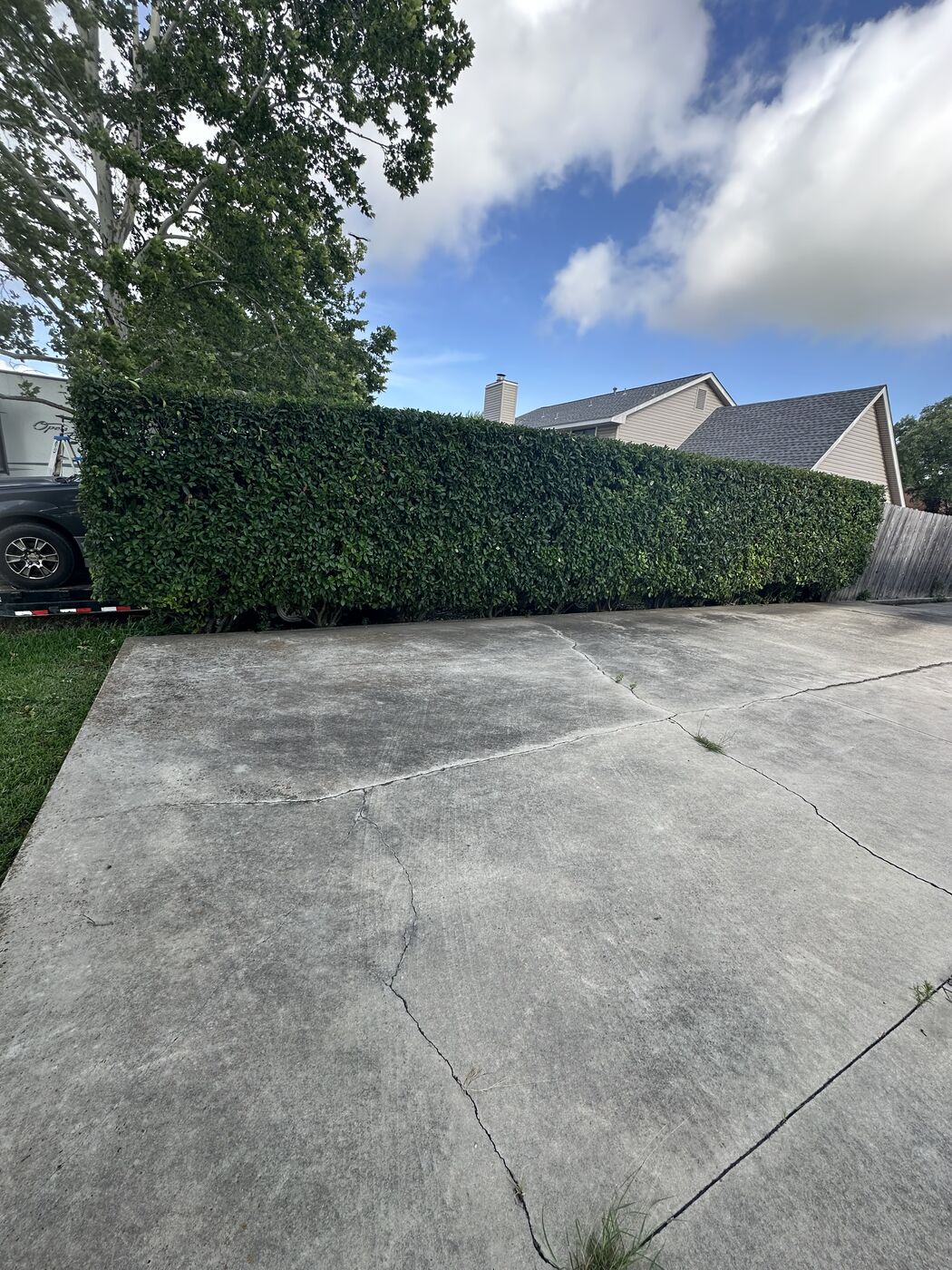 Cleanly trimmed shrubs and hedges
